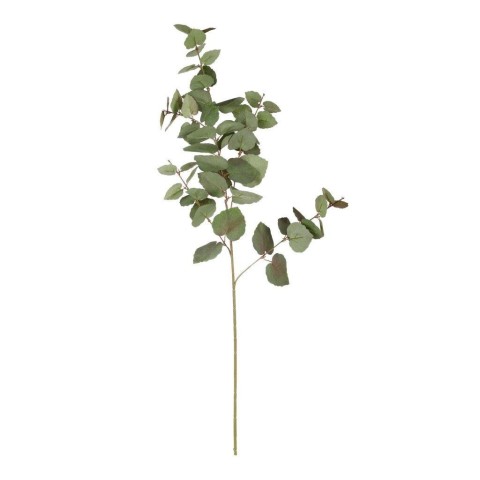 TRALCIO EUCALYPTO CM.98 VERDE SFUMATO